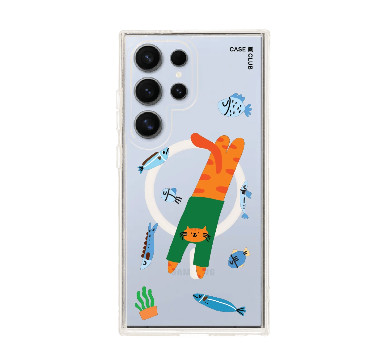 orange cat with green shirt